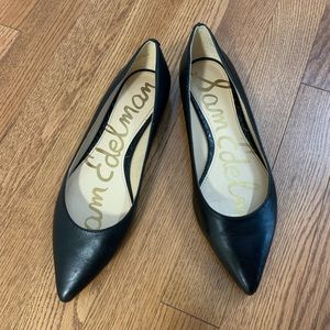 Sam Edelman Rae Leather Pointed Toe Flat